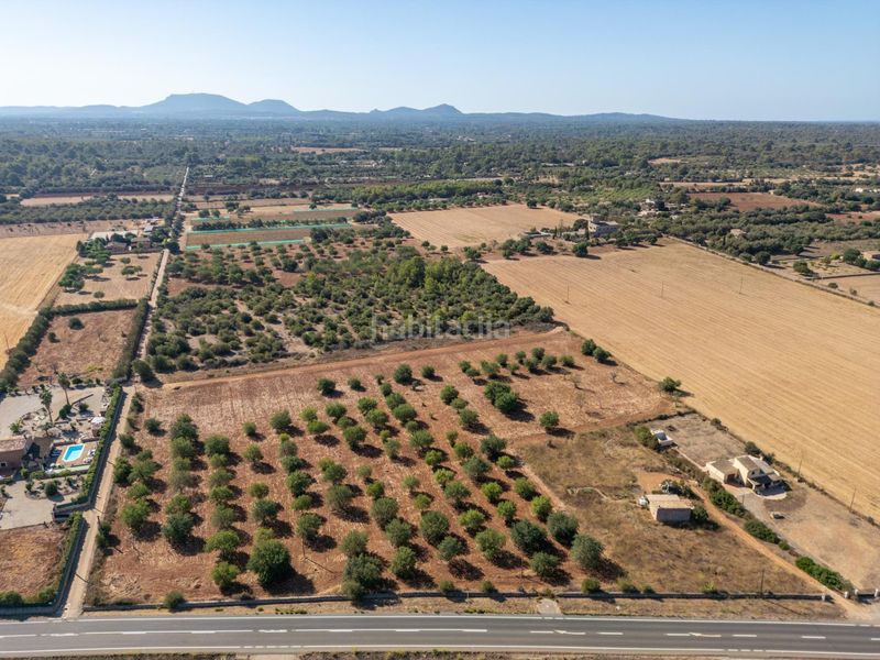 Foto 9679e1bf-fdc4-4948-b1a5-51f0a10c0853. Terreno residencial se vende terreno rústico urbanizable con proyecto básico de construcción en Sencelles