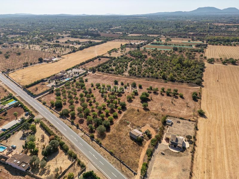 Foto d4d3ee63-3db5-4a3a-95c7-b9e1b267b028. Terreno residencial se vende terreno rústico urbanizable con proyecto básico de construcción en Sencelles