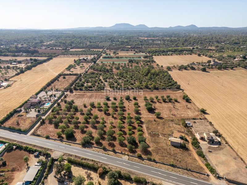 Foto e1dafeb5-5b51-4215-8fbb-e4ccafe9ec8a. Terreno residencial se vende terreno rústico urbanizable con proyecto básico de construcción en Sencelles