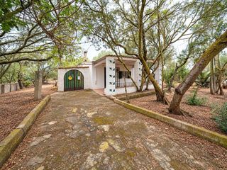 Masia  Ctra palma- porto petro. Finca rústica de dos habitaciones y 1.827 m² de parcela en campo