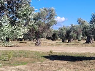 Propriété à Santo Domingo - Caudilla
