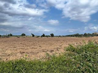 Residential Plot in Montuïri. Se vende terreno rustico urbanizable en porreres !!