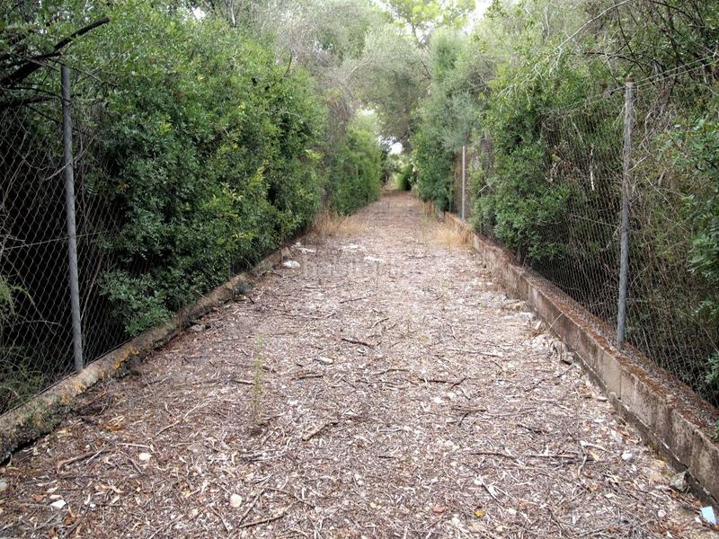 Foto 08297692-8cf2-4f1b-aa7f-dd9a25d3699b. Terreno residencial finca rústica en cas canar en Sencelles