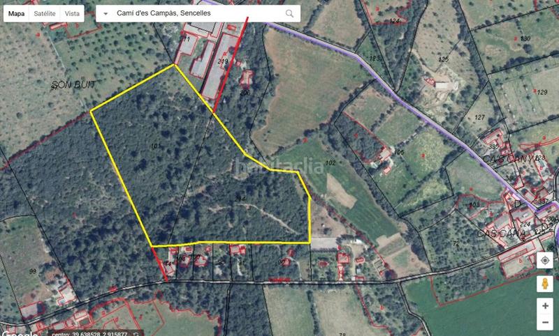 Foto ae649ce3-352f-4cee-bfd6-d089831b083b. Terreno residencial finca rústica en cas canar en Sencelles