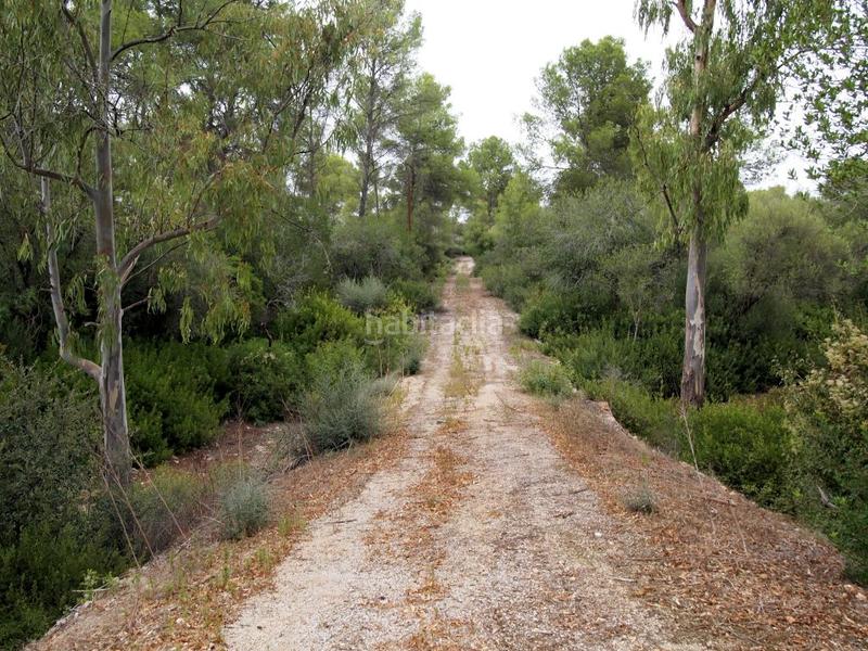 Foto cbe27a36-b8bd-4946-a0b7-cf605869a0c7. Terreno residencial finca rústica en cas canar en Sencelles