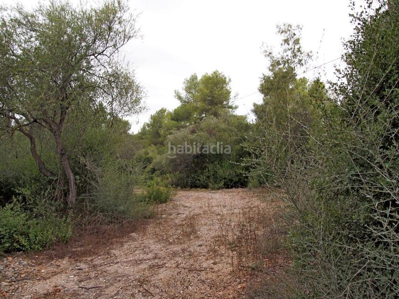 Foto d9b65a1a-3151-40b2-bd01-b562aef0e719. Terreno residencial finca rústica en cas canar en Sencelles