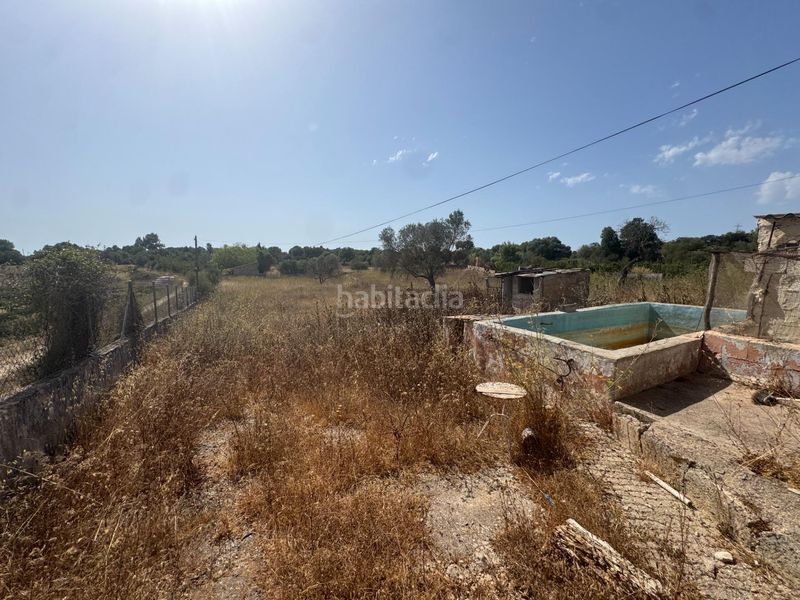 Foto 40c7c2db-95b5-4a4c-a3b7-602eae401cec. Masia a Llucmajor interior Llucmajor