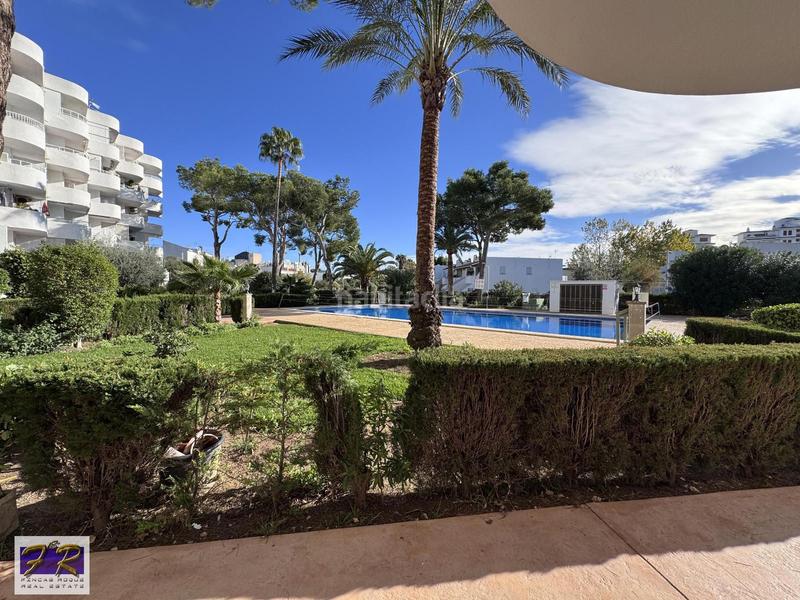 Foto 255041df-9f9e-4c95-94a8-b5462b439933. Appartamento con piscina in port d´Alcúdia-platja dálcúdia Alcúdia