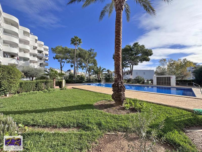 Foto 47752223-a90e-4824-b6eb-68d975bb686a. Appartamento con piscina in port d´Alcúdia-platja dálcúdia Alcúdia
