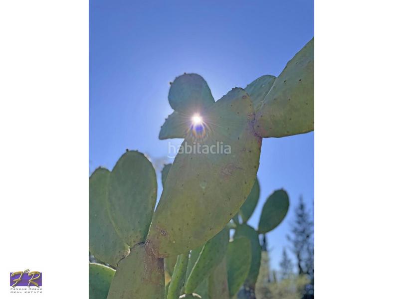 Foto 3641f5a8-a81f-4fac-b540-56d3da81b5aa. Mas avec parking piscine dans Búger