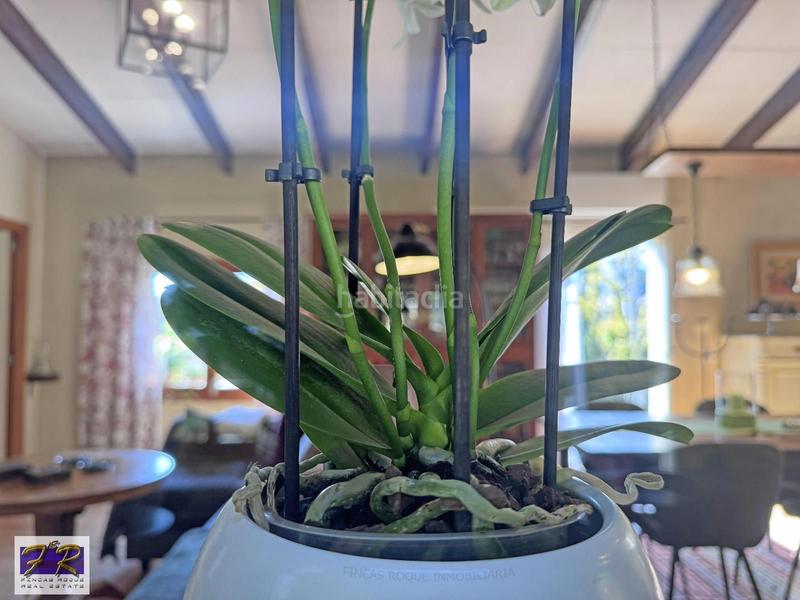 Foto a311a239-8c38-4cbf-9102-cec5241debfe. Mas avec parking piscine dans Búger