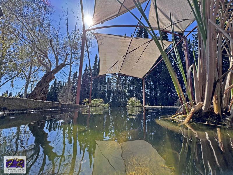 Foto d77ae024-186e-4520-be85-a1a2cdcc6b8c. Mas avec parking piscine dans Búger