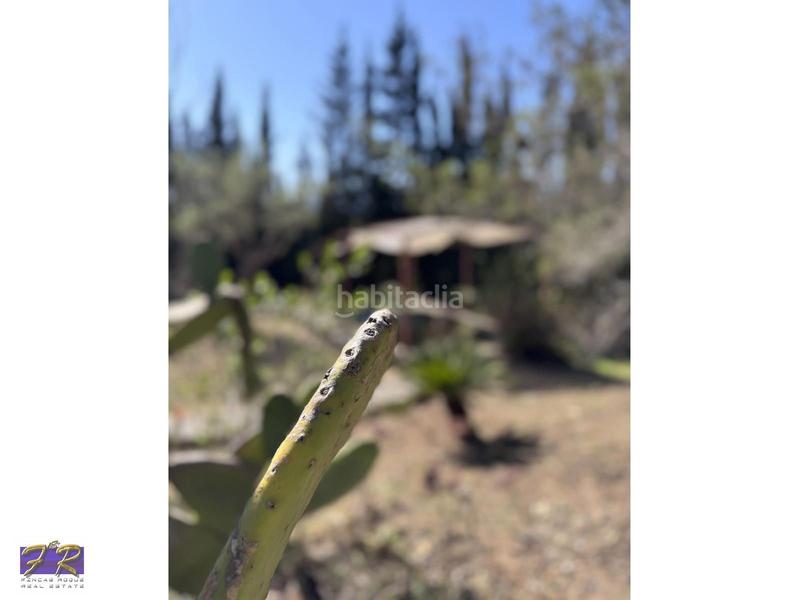 Foto eeb6ec1a-88b9-4dbe-aaf7-dd6e0c477c12. Mas avec parking piscine dans Búger