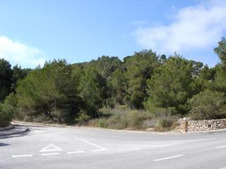 Terreny residencial a Roca Llisa. Terreno para promotores inversores