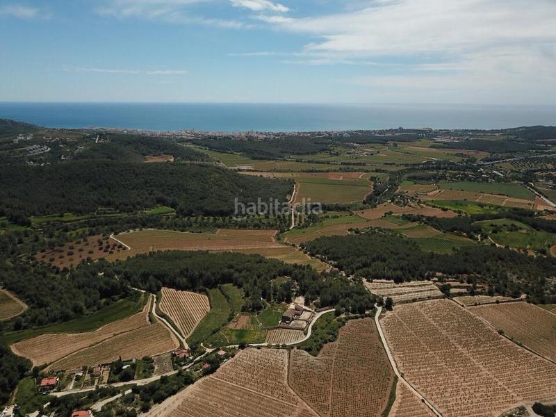 Foto 045f5e9b-e509-46fc-b41c-7e7f394ab05c. Fondo rustico in Mas Alba Sant Pere de Ribes