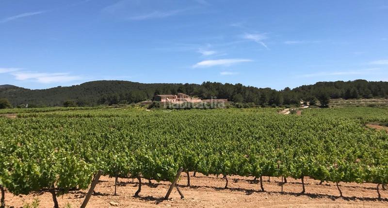 Foto c4a19f51-acc1-4934-bfe0-75c4865a646f. Fondo rustico in Mas Alba Sant Pere de Ribes