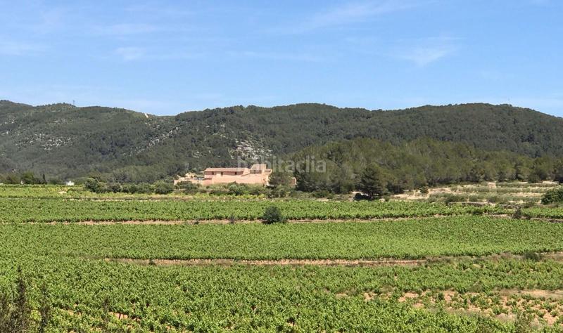 Foto d3602154-fcd5-4d21-a971-a99da6c2348d. Fondo rustico in Mas Alba Sant Pere de Ribes