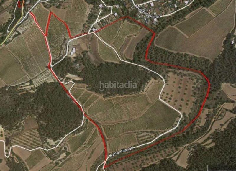 Foto e07b6046-4420-4402-acb4-86dea773fc21. Fondo rustico in Mas Alba Sant Pere de Ribes