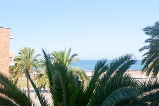 Rent Flat in Ribes Roges. Alquiler para los meses de verano