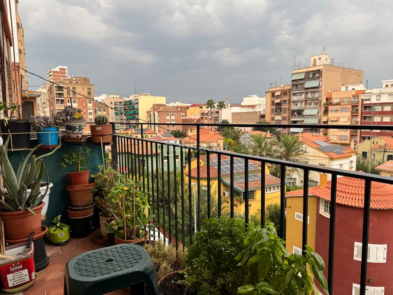 Foto 7d2483a7-2579-43d7-bd1d-05d2d19e8d79. Pis a carrer del mestre ripollés 48 a Parque Geólogo José Royo Gómez Castellón de la Plana