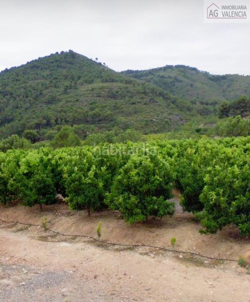 Foto 1012d256-d6d2-4899-a839-187ec465e23a. Terrain résidentiel dans Torres Torres