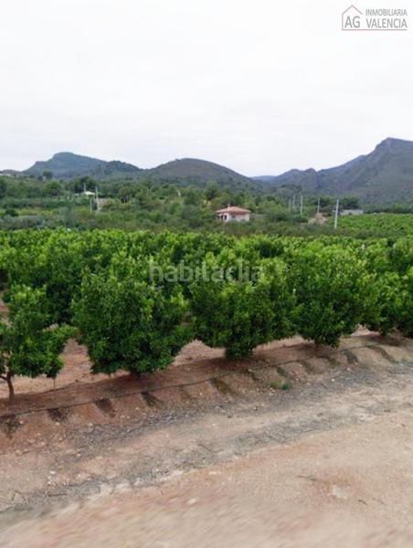 Foto 29e858a5-c15f-4ca1-a0c9-543480c4c5a7. Terrain résidentiel dans Torres Torres