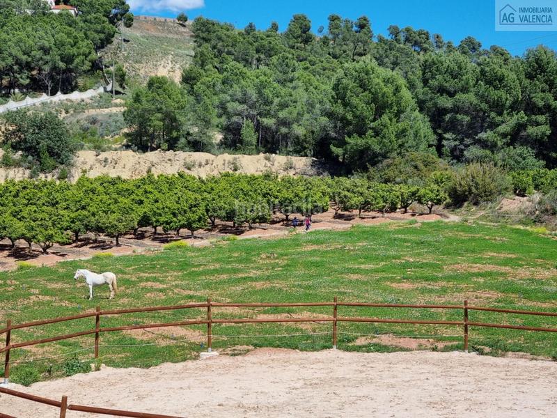 Foto f327bfbb-a0d8-446a-9a82-4f2074c9f483. Terrain résidentiel dans Torres Torres