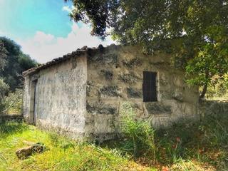 Maison à Selva. Magnifica finca rustica de 7000mcon casita de 24m totalmente leg
