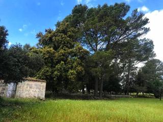 Mas à Selva. Magnifica finca totalmente legal