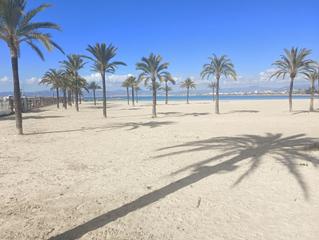 Local Comercial a S´Arenal. Local en zona turistica