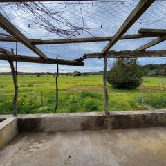 House in Badia Blava-Badia Gran-Tolleric. Gran oportunidad en llucmajor, zona arenal