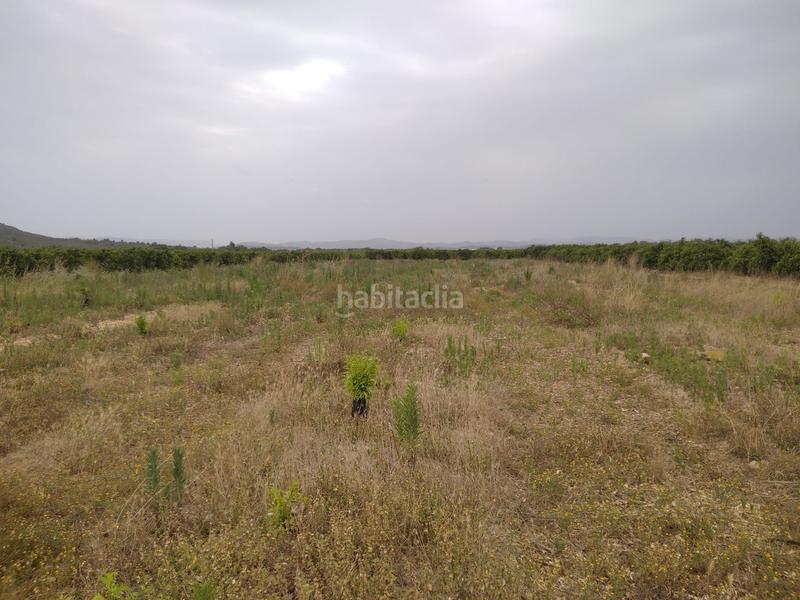 Foto 49671743-f9f9-4eb5-86e6-5d4783365c2a. Finca rústica a Partidas de Interior - Zona Rústica Vinaròs