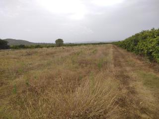 Landgut in Partidas de Interior - Zona Rústica. Finca a 5 kilometros de vinaros