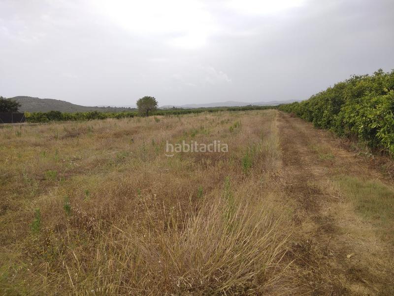 Foto bd986bc6-7500-4cf6-a4ba-bc2f4d791b4f. Finca rústica a Partidas de Interior - Zona Rústica Vinaròs