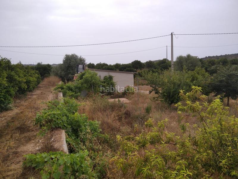 Foto bfaa48cd-b5bc-48d4-82d0-b11c421b3bdd. Finca rústica a Partidas de Interior - Zona Rústica Vinaròs