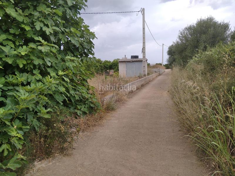 Foto e00a02f8-fd13-4c38-bb82-41b01a622b3a. Finca rústica a Partidas de Interior - Zona Rústica Vinaròs