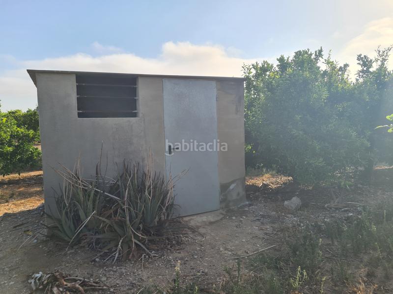 Foto 8d113b92-8f6f-408b-96f3-22c93819e470. Finca rústica finca de 7.000m en produccion en Casco Urbano Vinaròs