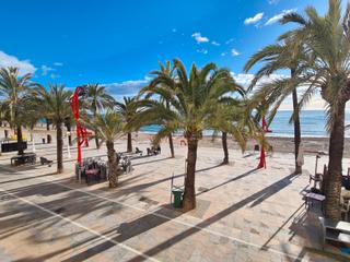 Piso  Passeig de blasco ibáñez. Piso en primera linea de paseo maritimo