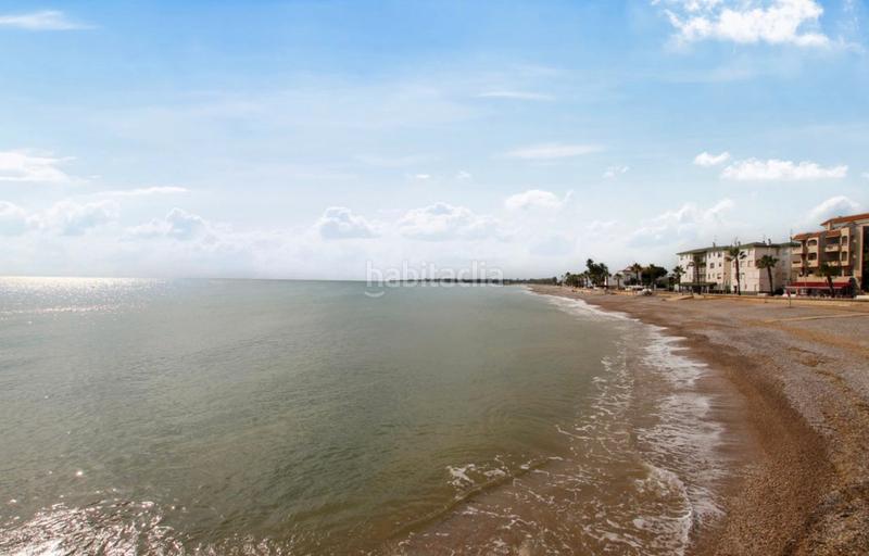 Foto c6cd267a-c330-4fc8-9052-4ab742cf8e51. Pis a Alcanar