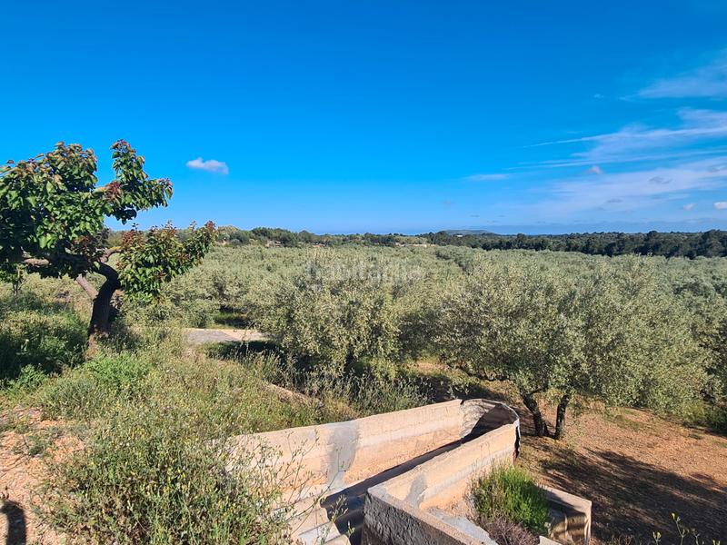 Foto 157af450-4d7d-4a3b-b5bc-116c2272289a. Finca rústica a San Jorge