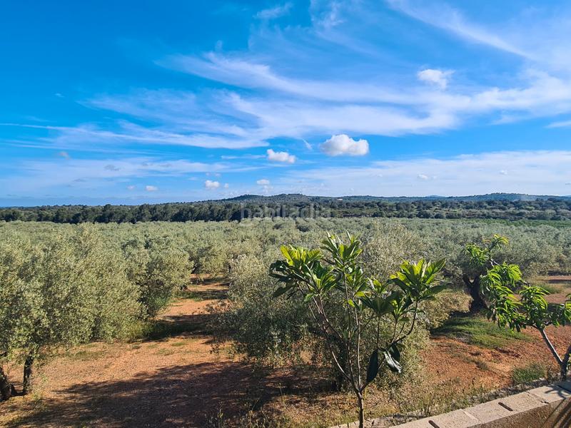 Foto 3faf767b-0c65-4f30-9ff9-43581816cfe1. Finca rústica a San Jorge