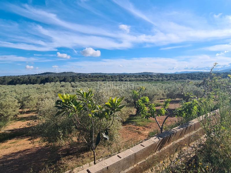 Foto c624f88d-0a94-473e-88a8-340ca7a477a8. Finca rústica a San Jorge