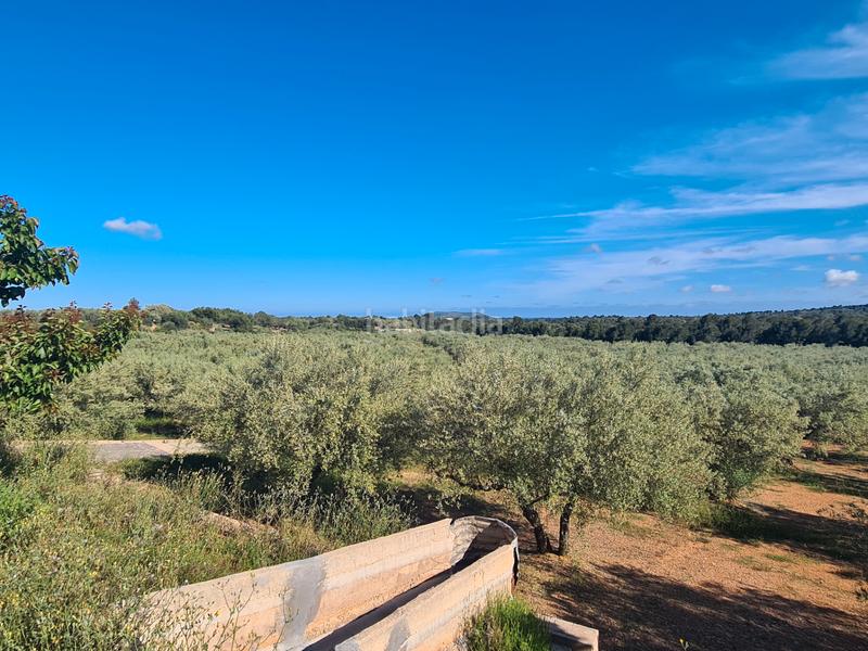 Foto e9aac88f-766f-4985-ac08-1860c8d71e47. Finca rústica a San Jorge