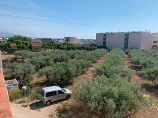 Masía  Plaça poligono 29. Casa legalizada cerca del casco urbano