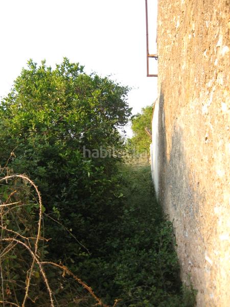 Foto 3a9a398c-5f7b-4fac-ae08-a5d5d90fac0d. Rural plot in Alcanar