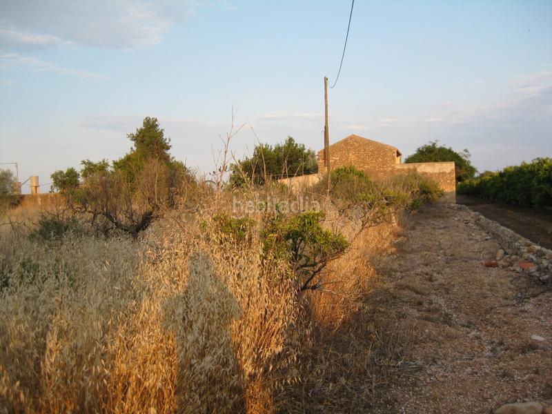 Foto 3c19bed2-f2c1-47e8-993f-7f2d2283e780. Rural plot in Alcanar