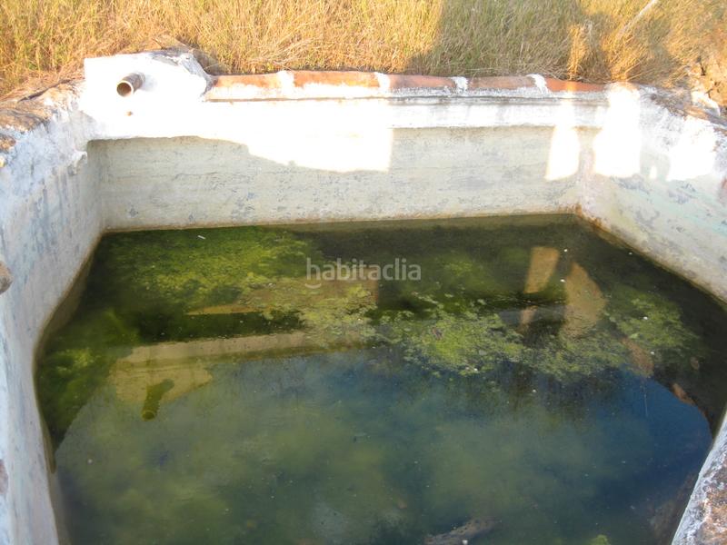 Foto 4308564d-af4e-493d-9612-d954b30627f1. Rural plot in Alcanar