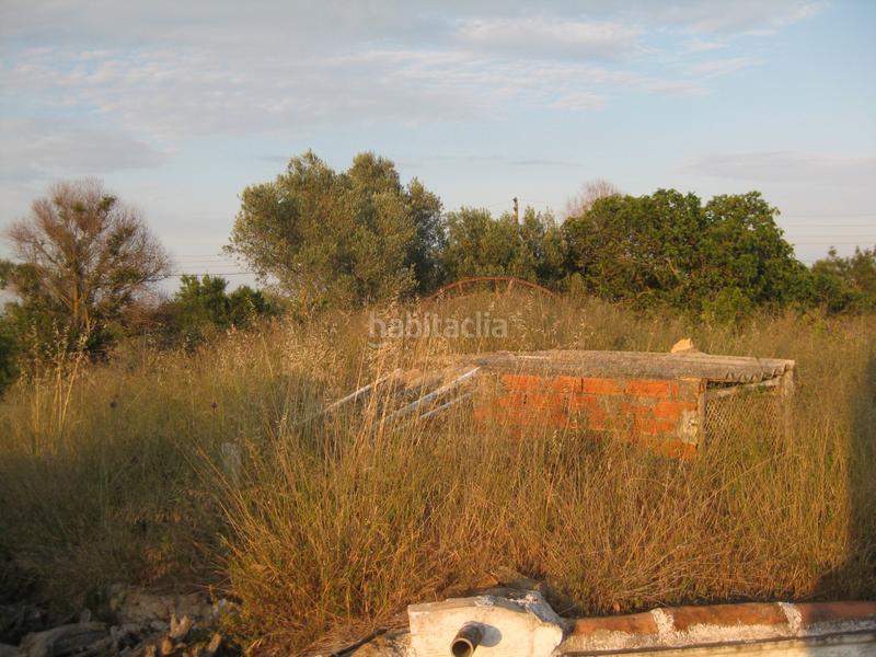 Foto 4bb989d7-2308-4761-a78c-2bd5ec666e13. Rural plot in Alcanar