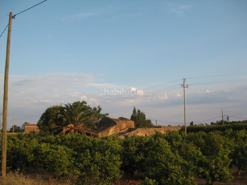 Foto d1d513a1-fba6-4184-b6bc-113c2f83b5ee. Rural plot in Alcanar
