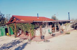 Masia  Carretera ulldecona. Finca rustica a 3 km de vinaroz con casa legalizada